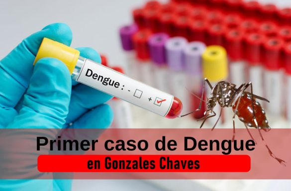 Primer Caso Confirmado De Dengue En Chaves Chavesdigital