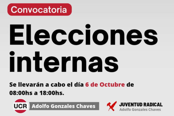 Convocatoria A Elecciones Internas Ucr Y Anuncio De La Nueva Junta